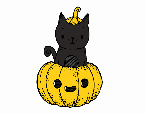 gato de halloween