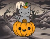 Un gatito de Halloween