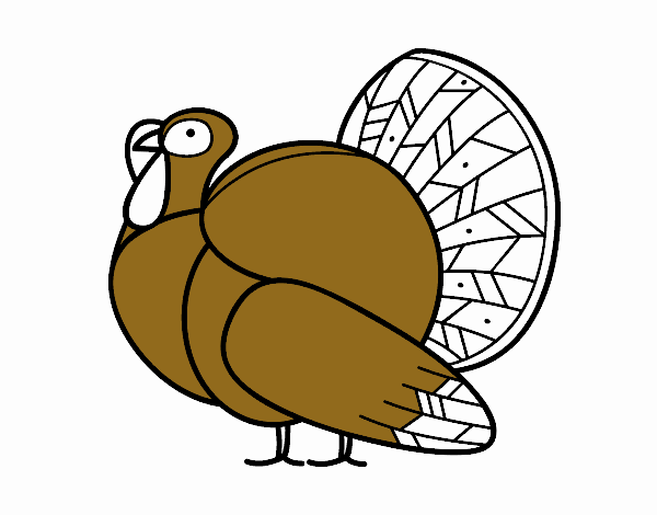 Un pavo