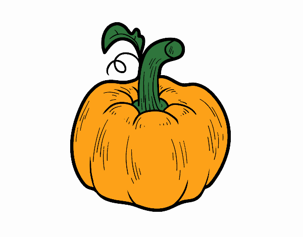 Una calabaza cucurbita