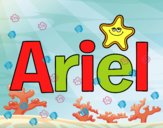 Ariel