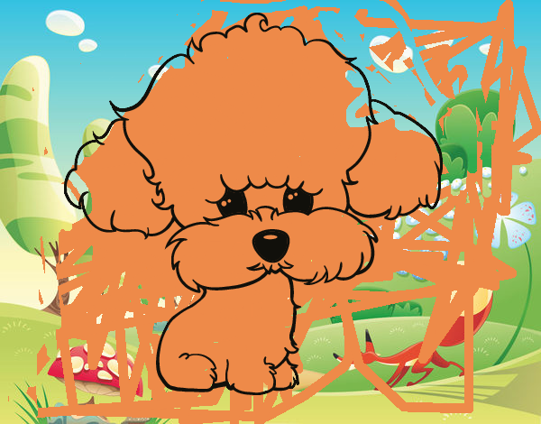 Cachorro de poodle