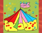 Circo