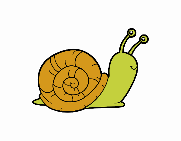 El caracol