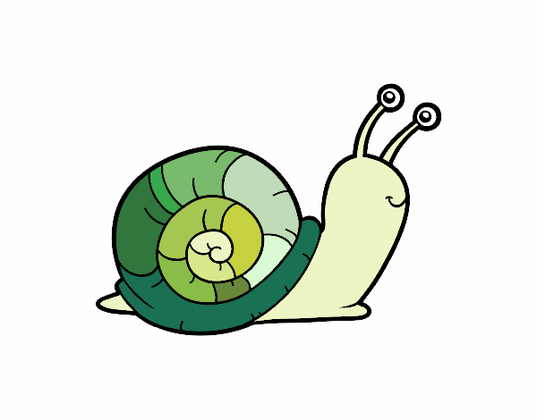 El caracol