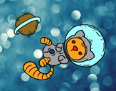 Gatito astronauta