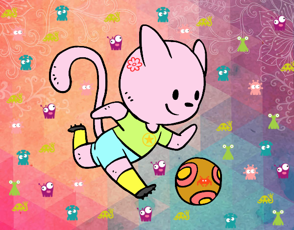 Gato jugando a fútbol