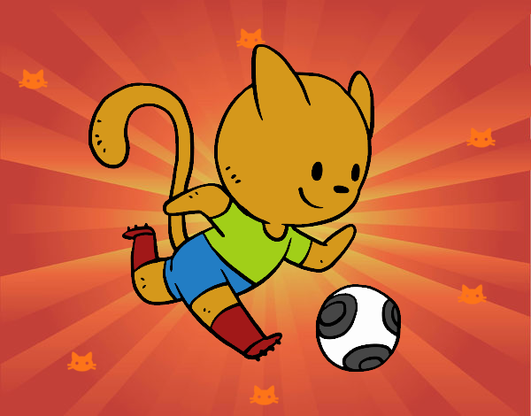 Gato jugando a fútbol