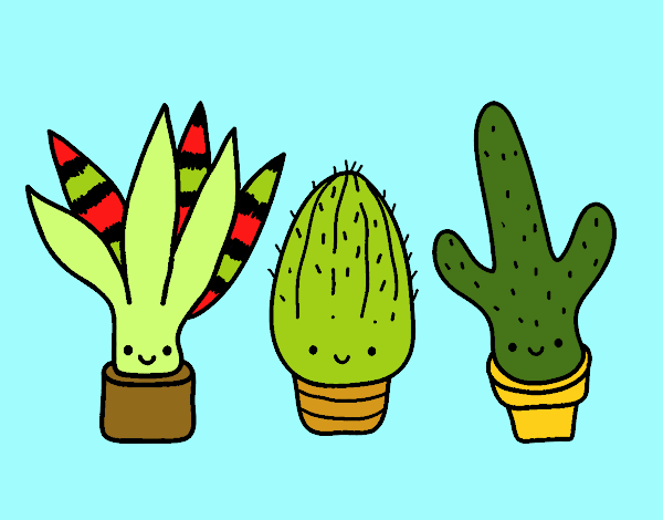 Mini cactus