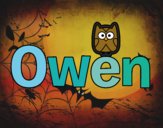 Owen