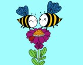 Pareja de abejas