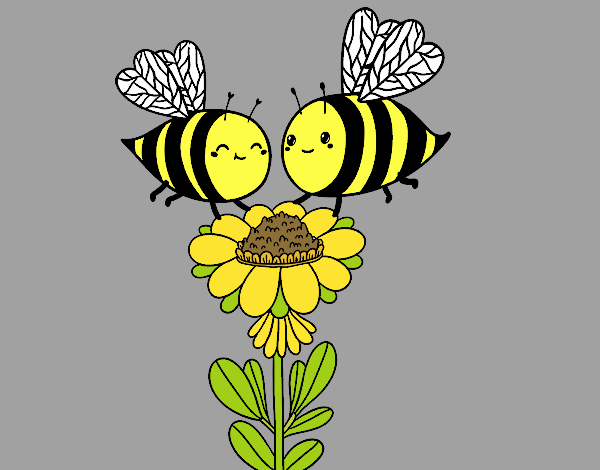 Pareja de abejas