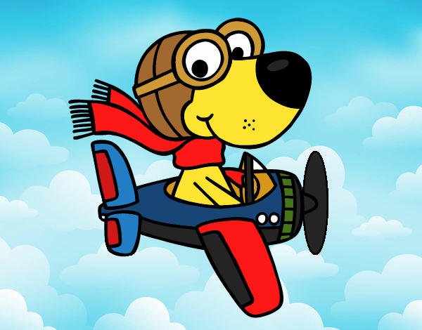 Perro piloto