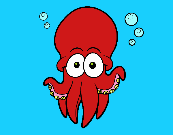 Pulpo rojo