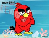 Red de Angry Birds