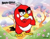 Red de Angry Birds