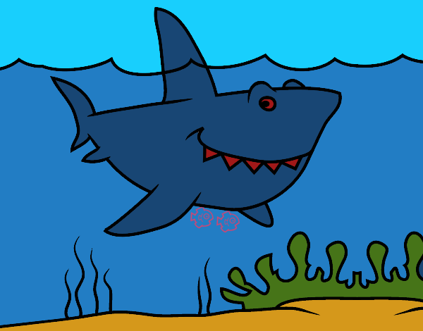 Tiburón marino