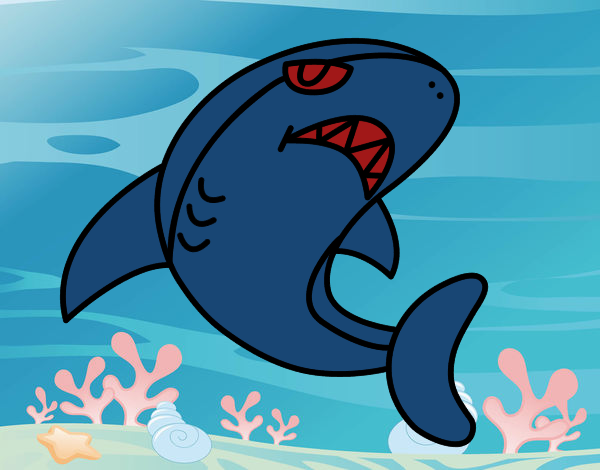 Tiburón nadando
