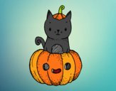 Un gatito de Halloween