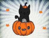 Un gatito de Halloween