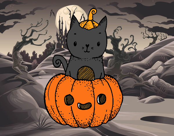 gato hallowen