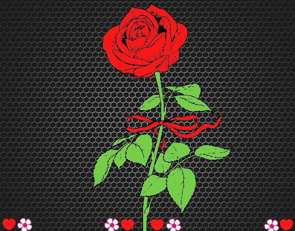 Una rosa