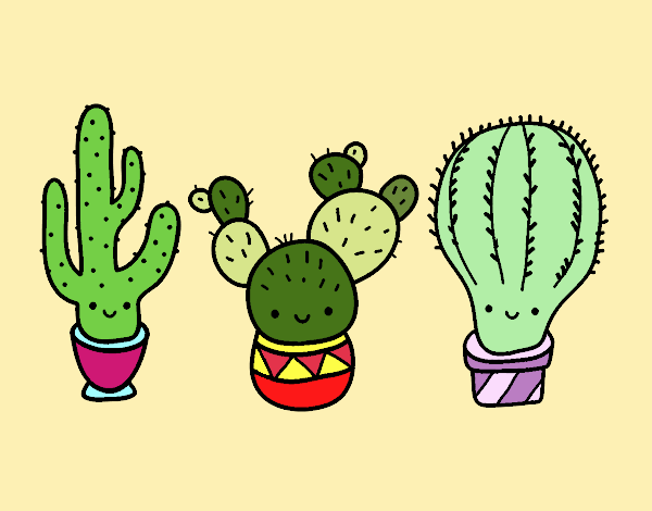 3 mini cactus