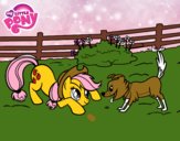 Applejack y Winona