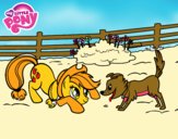 Applejack y Winona