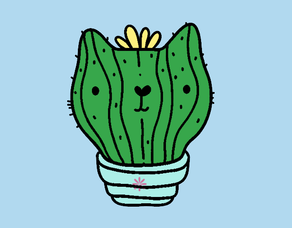 Cactus gato c: 