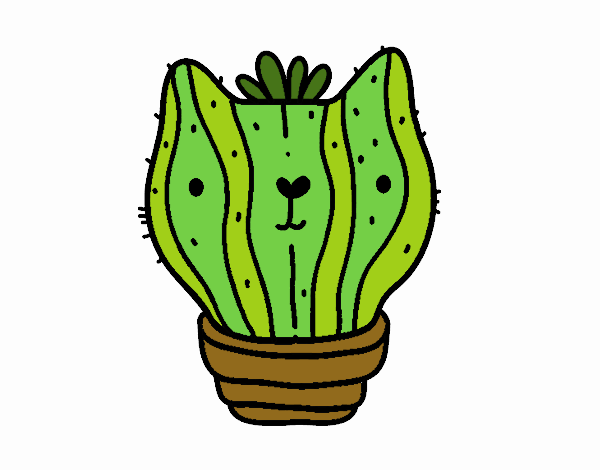 Cactus gato