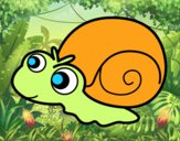 Caracol bebé