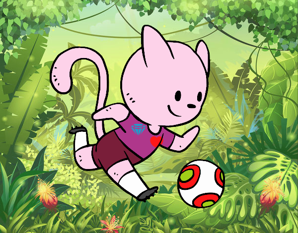 Gato jugando a fútbol