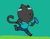 Gato runner