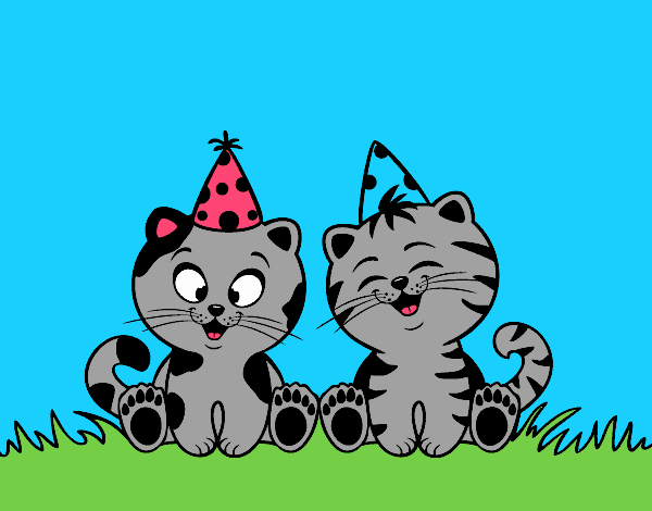 Gatos de cumpleaños