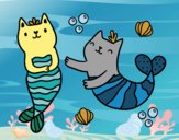 Gatos sirena