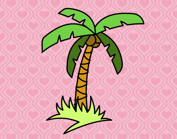 Palmera tropical