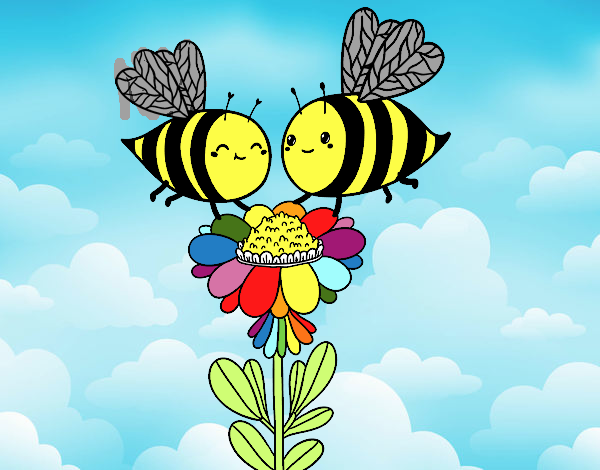 Pareja de abejas