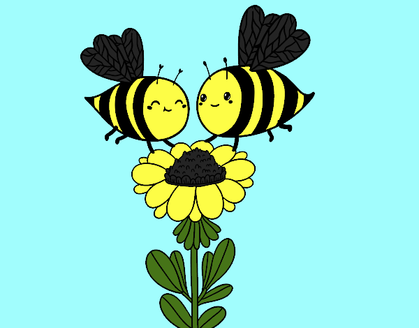 Pareja de abejas