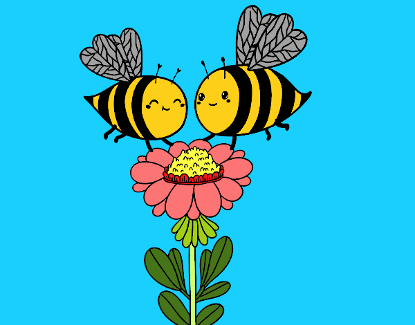 Pareja de abejas