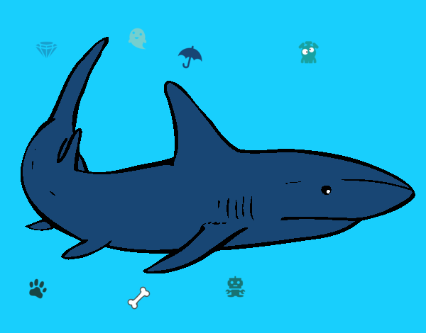 el tiburon 