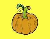 Una calabaza cucurbita