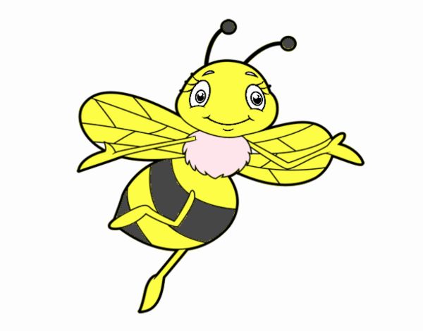 Abeja