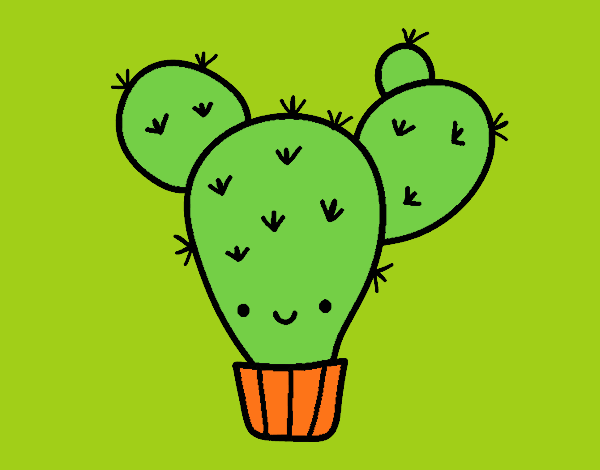 Cactus nopal