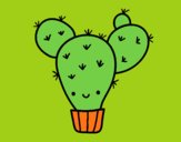 Cactus nopal