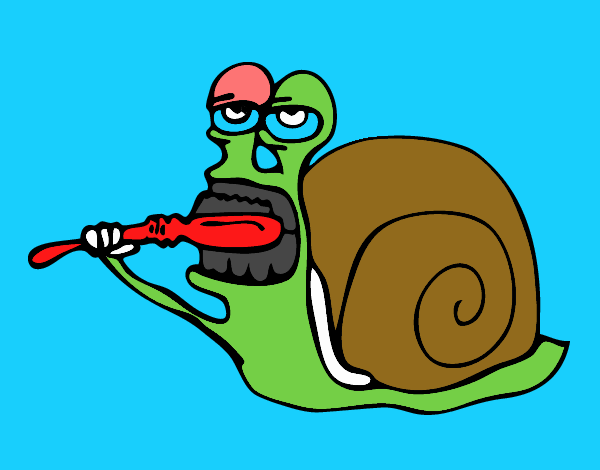 Caracol limpio