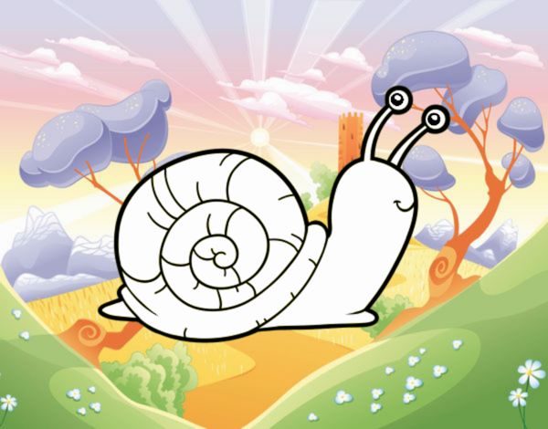 El caracol