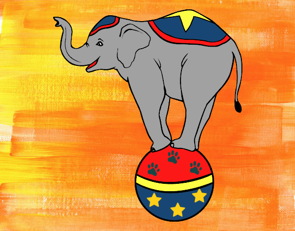 Elefante equilibrista