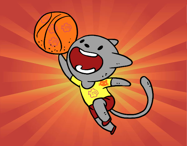 Gato jugando a baloncesto