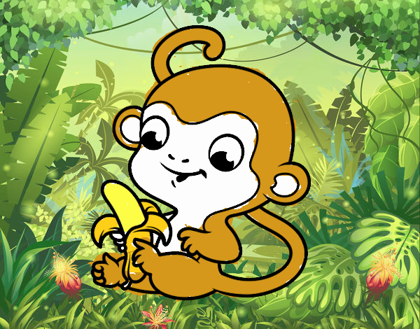 Monito en la selva